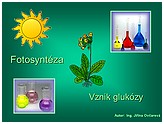 Prezentace (pps)