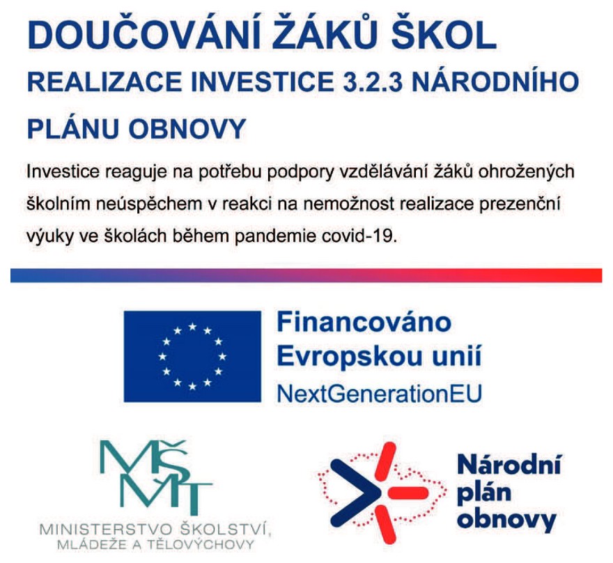 Doučování žáků škol